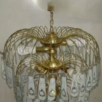 لوستر زیبا ، سالم و تمیز