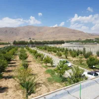 باغ-4000-متری-کردان-کوهسار