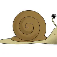 حلزون بزرگ و کوچک