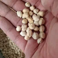 نخود کرمنشاه