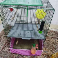 قفس سالم پرنده