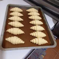 فروش کروسان نیم اماده به قنادیها و نان فانتزی ها