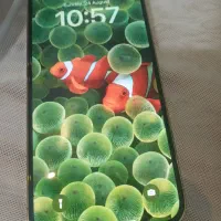 اپل iPhone 13 Pro Max با حافظهٔ ۲۵۶ گیگابایت|موبایل|تهران, والفجر (افسریه)|دیوار