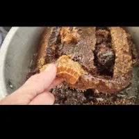 عسل طبیعی اصل تبریز