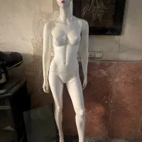 دو عدد مانکن سالم به علت تغییر شغل