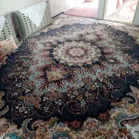 فرش ماشینی 12 متری|فرش|سبزوار, پیروزی|دیوار