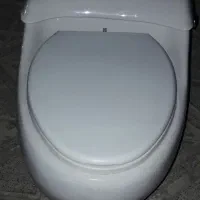 توالت فرنگی