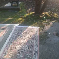 قالی ۶ متری وقالیچه ماشینی|فرش|آستانه اشرفیه, |دیوار