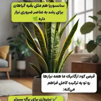 نمایندگی قرص کودتحت لیسانس کانادا اورگانیک ۱۲۰عددی|گل و گیاه طبیعی|تهران, فلاح|دیوار