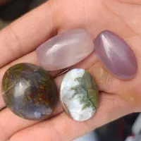 سنگ شجر دریایی