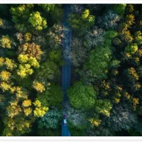 زمین چهار دیواری شهرک گلستان