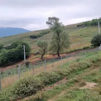 فروش زمین متراژ ۳۵۰ متر پاجی|فروش زمین و ملک کلنگی|فریم, |دیوار