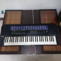 ارگ کاسیو