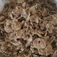 موسیر|عمده‌فروشی|نهاوند, |دیوار
