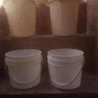 سطل