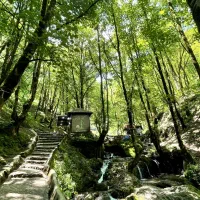 تور های داخل و خارج استانی اقساطی