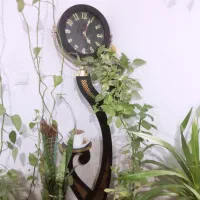 ساعت ایستاده|ساعت دیواری و تزئینی|فسا, |دیوار