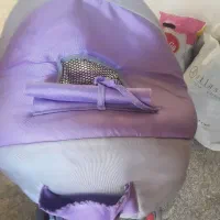 کالسکه|کالسکه و لوازم جانبی|همدان, |دیوار