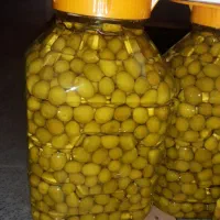 پخش زیتون طارم مستقیم از کارخانه
