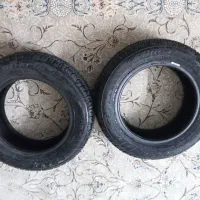 لاستیک بارز