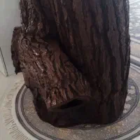 تنه درخت گردو مخصوص دکوری و میز|صنایع دستی و سایر لوازم تزئینی|ملایر, |دیوار