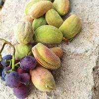 فروش زمین ۱۰۰۰ متری در احمدآباد|فروش زمین و ملک کلنگی|اصفهان, احمدآباد|دیوار