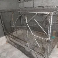 قفس پرنده محکم|لوازم جانبی حیوانات|سیرجان, |دیوار