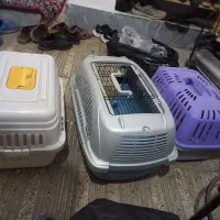 باگس ...قفس سگ|لوازم جانبی حیوانات|ساری, |دیوار