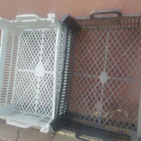 سبد میوه