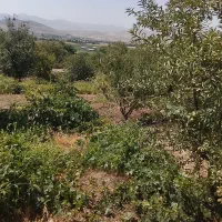 باغ-صحنه
