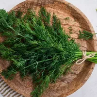 خدمات سبزی انواع|خوردنی و آشامیدنی|قم, حاج خلیل|دیوار