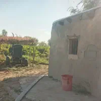 باغ سه هکتاری   نصف باغ انگور و نصف باغ میوه|فروش زمین و ملک کلنگی|باروق, |دیوار