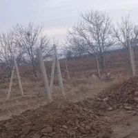 انجام کارگری باغ و باغچه