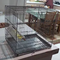 قفس پرنده