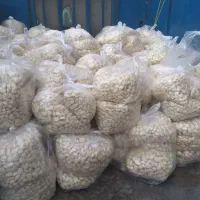 پخش باقالی نخود ذرت|خوردنی و آشامیدنی|نسیم‌شهر, |دیوار