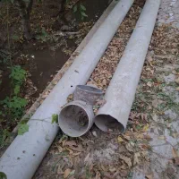 لوله پلیکان