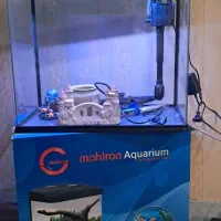 اکواریوم شرکتی ماهیران