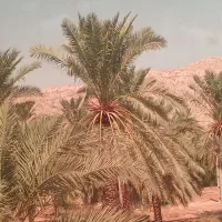 باغ .زیر قیمت. سهمیه آب .قاعدی.