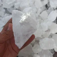 انواع نمک از بسته بندی تا سنگ نمک|خوردنی و آشامیدنی|تربت‌حیدریه, بوستان باغ ملی|دیوار