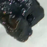 این سنگها جذب آهنربا دارن