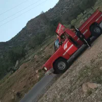 قالیشویی بامیری