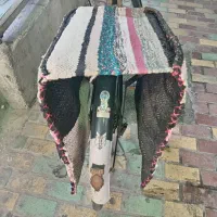 دوچرخه آنتیک و نوستالژی|کلکسیون اشیاء عتیقه|بوشهر, |دیوار