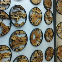 نیروی کار(آقا)