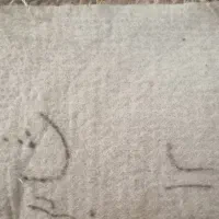 موکت ریشه بلند|موکت|اصفهان, باغ دریاچه|دیوار