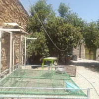 تخت