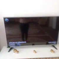 تلویزیون