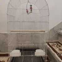 قفس پرنده