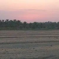 مفقودی مدارک