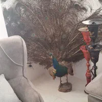 لوازم قلیان|صنایع دستی و سایر لوازم تزئینی|ملارد, |دیوار