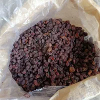 کشمش اب گیری پاک شده